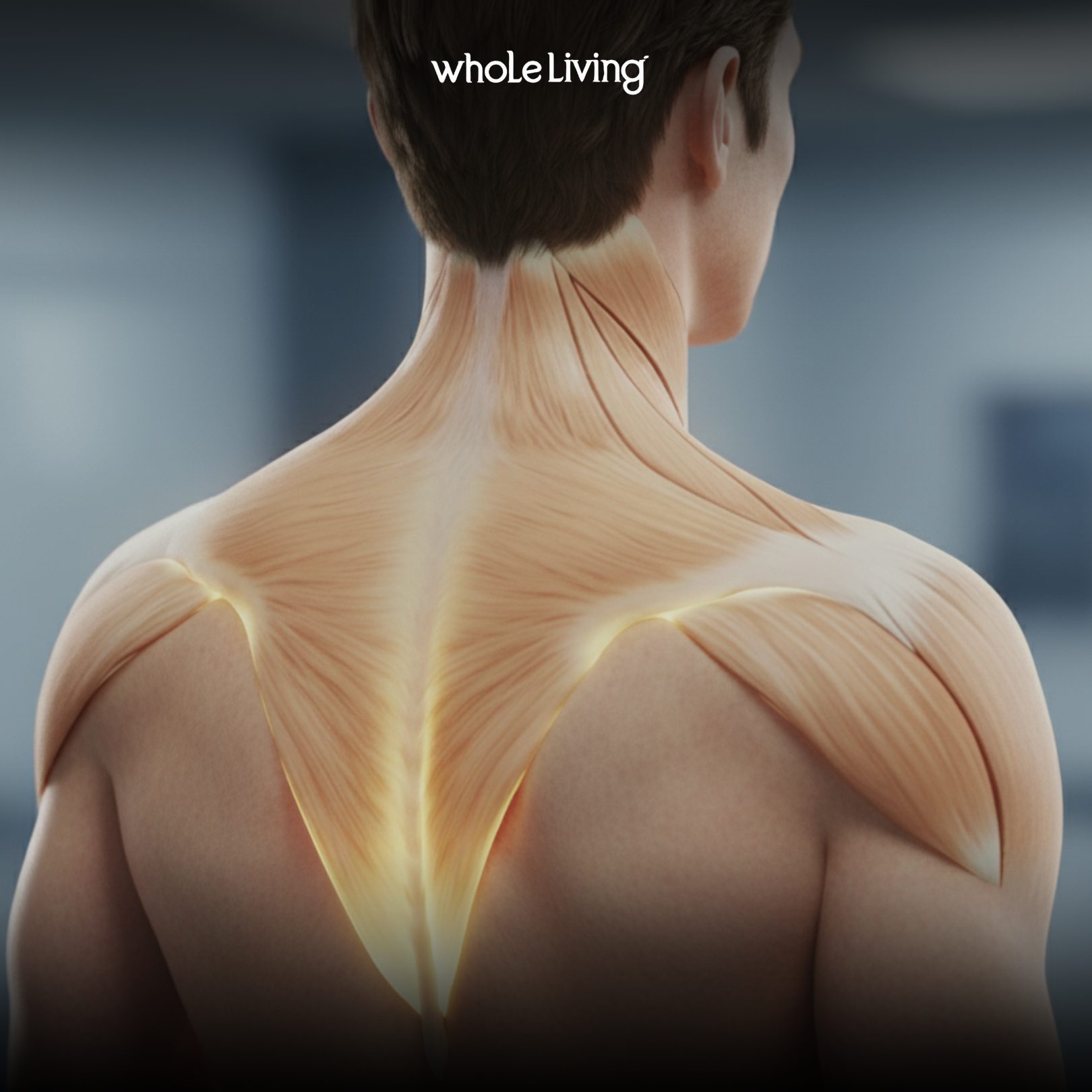 Back Muscle Exercises For Strength And Balance