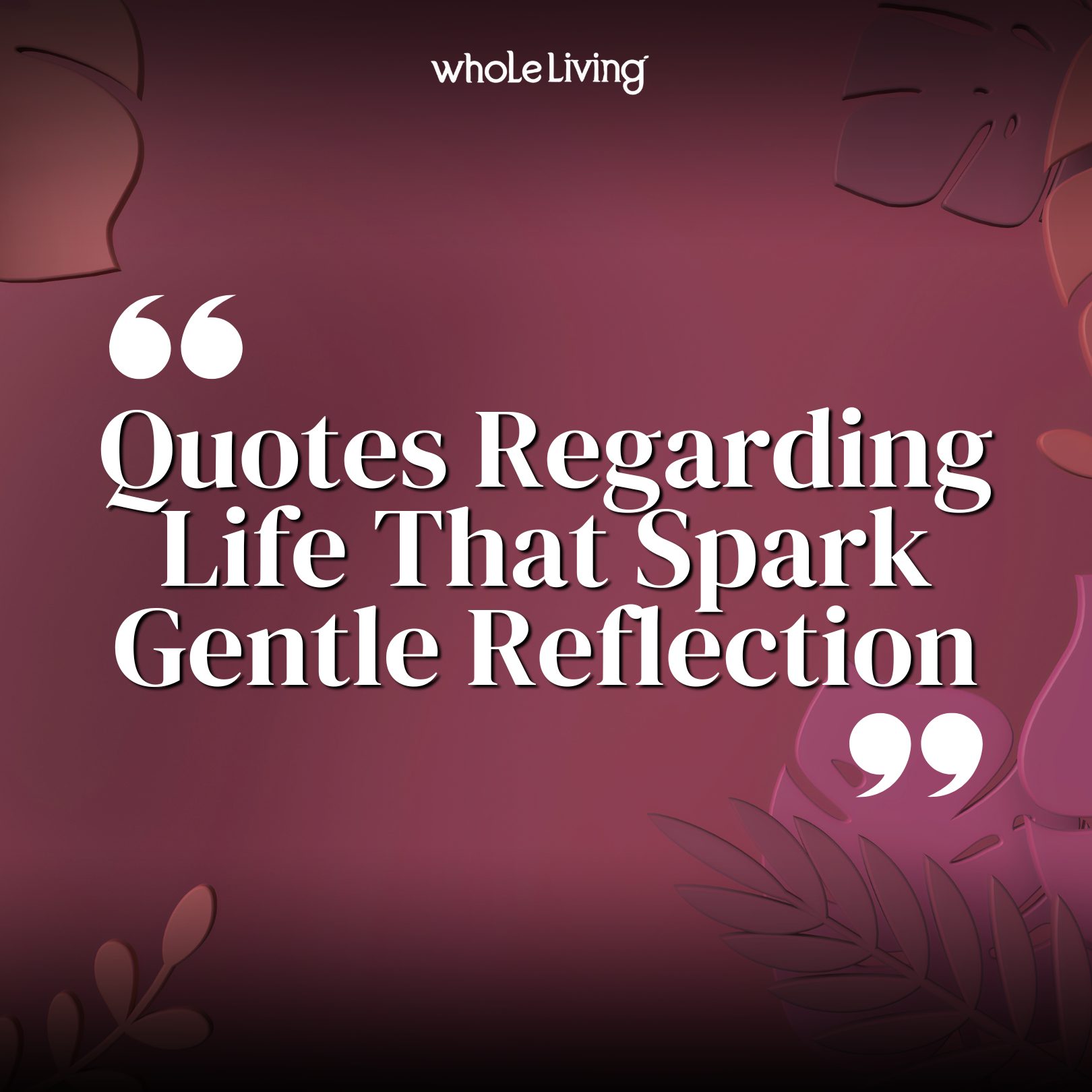 Quotes Regarding Life That Spark Gentle Reflection