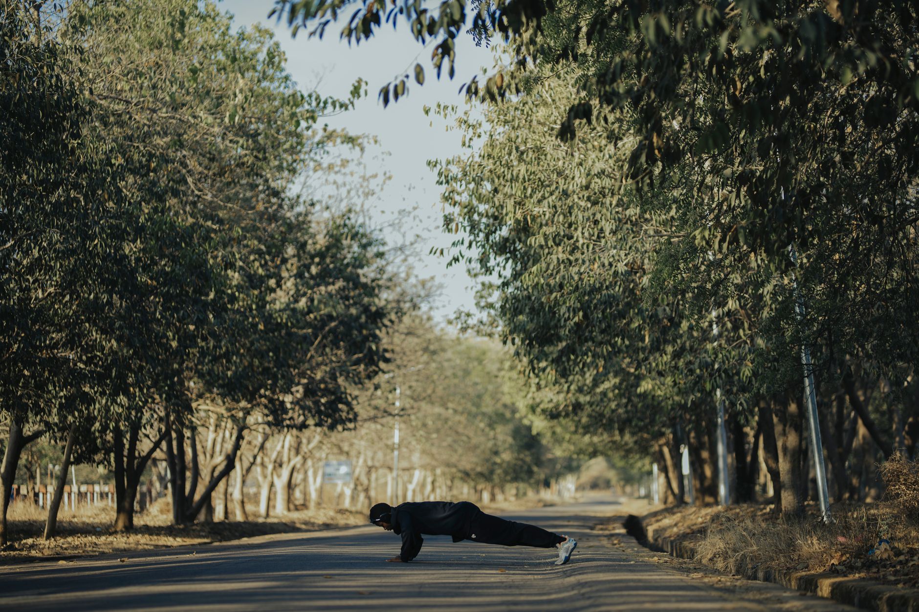 A man performs push-ups outdoors on a tree-lined pathway under the sun.