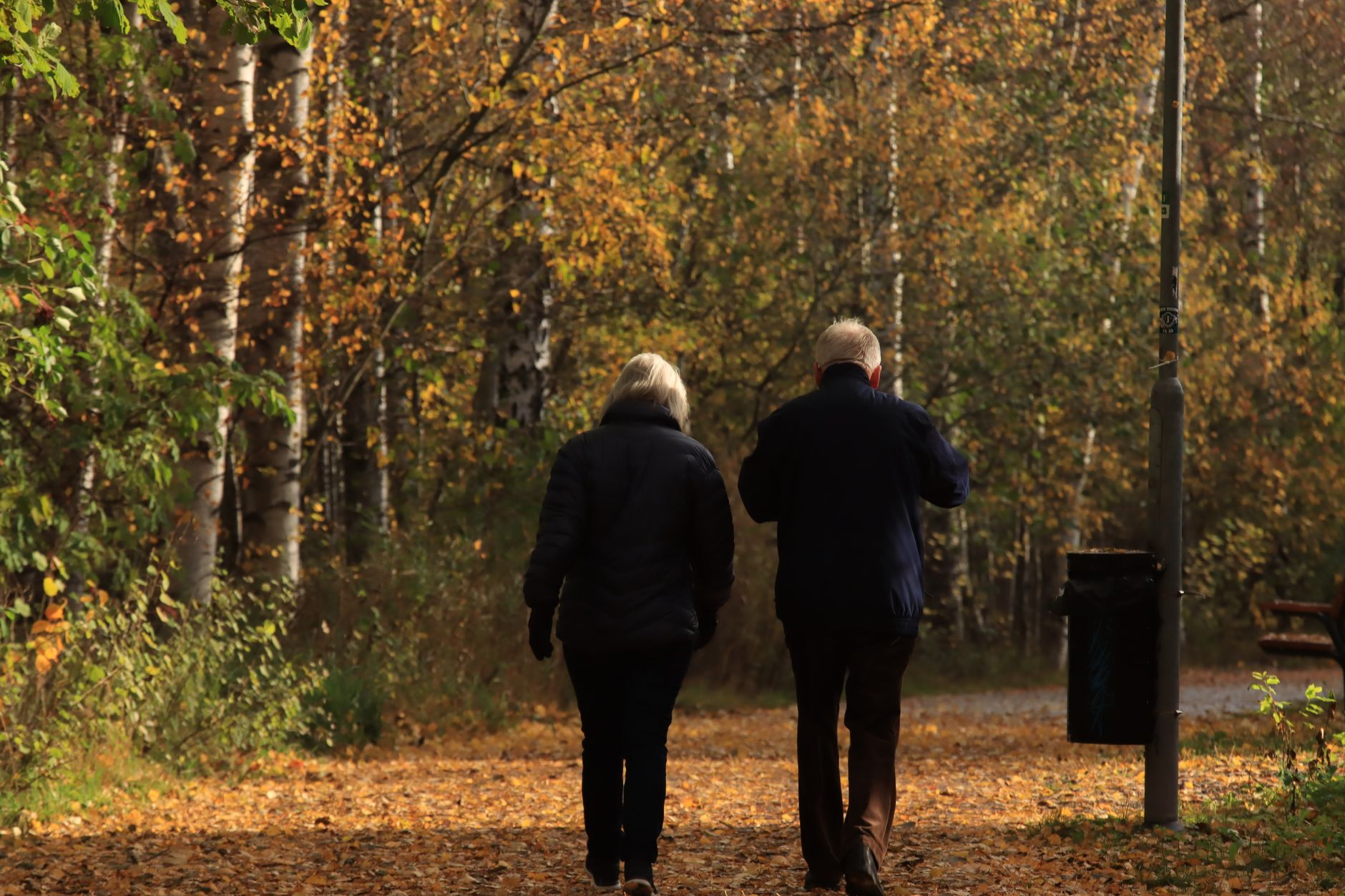 A couple walking in a serene Swedish park surrounded by autumn leaves and trees.