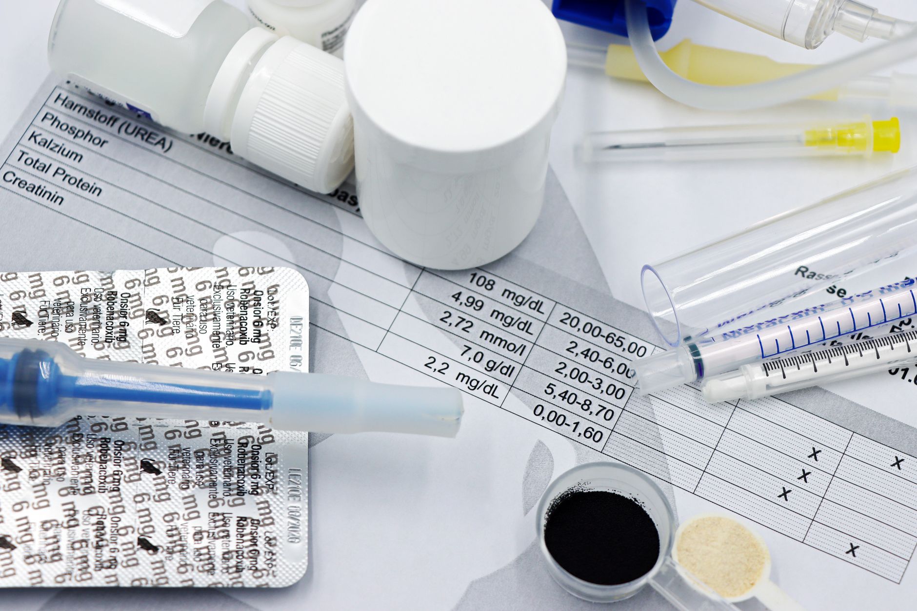 Kidney Function Testing in Singapore: Your eGFR and Creatinine Protocol