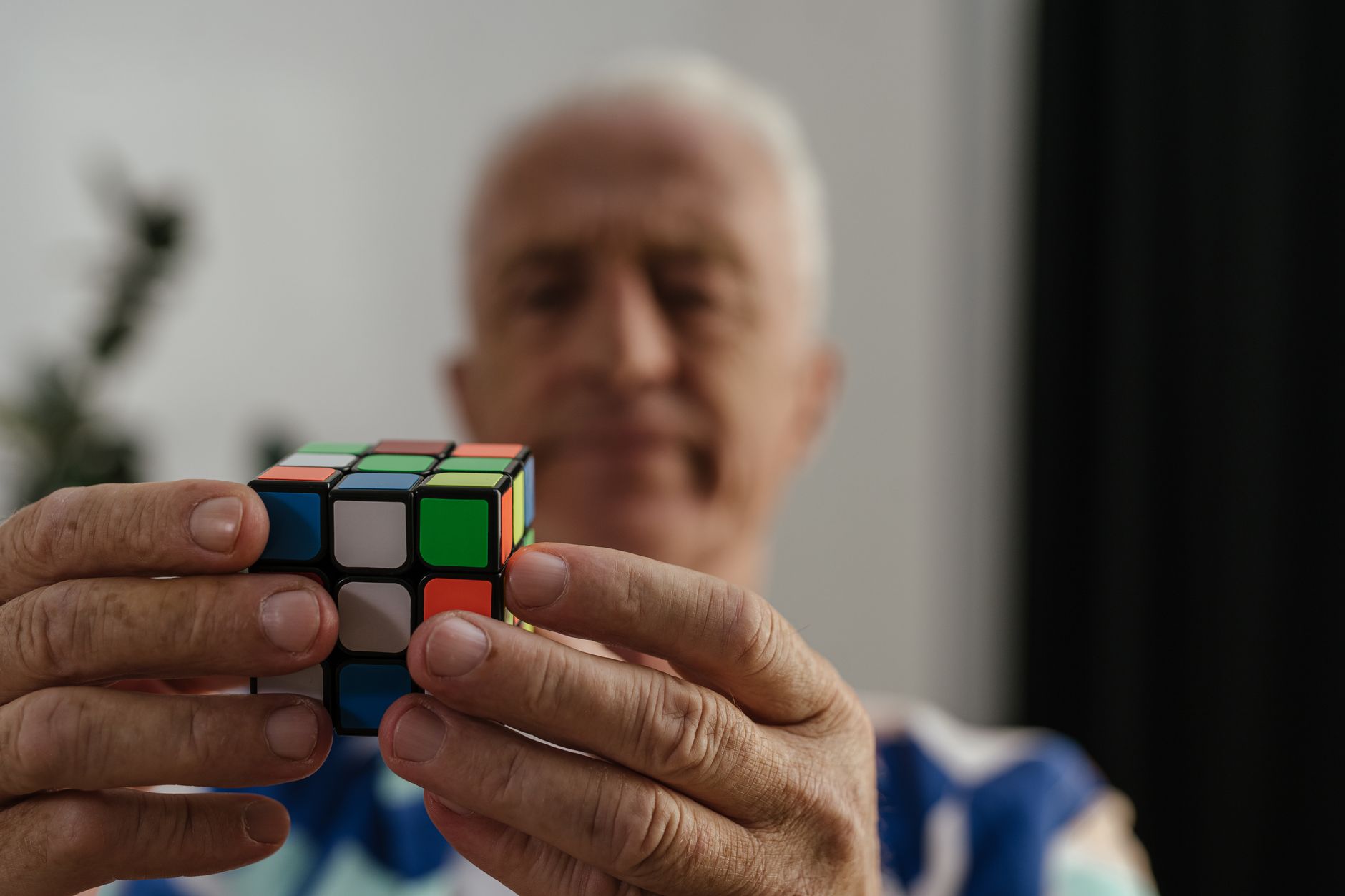 Neuroplasticity in Cognitive Ageing: Six Practices That Sustain Learning Capacity